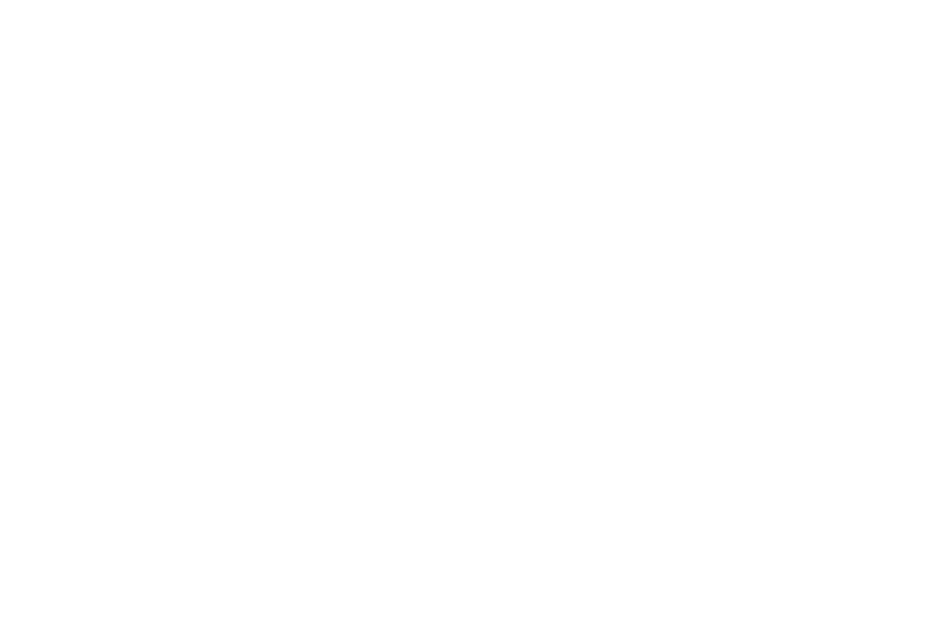 ADE Germany